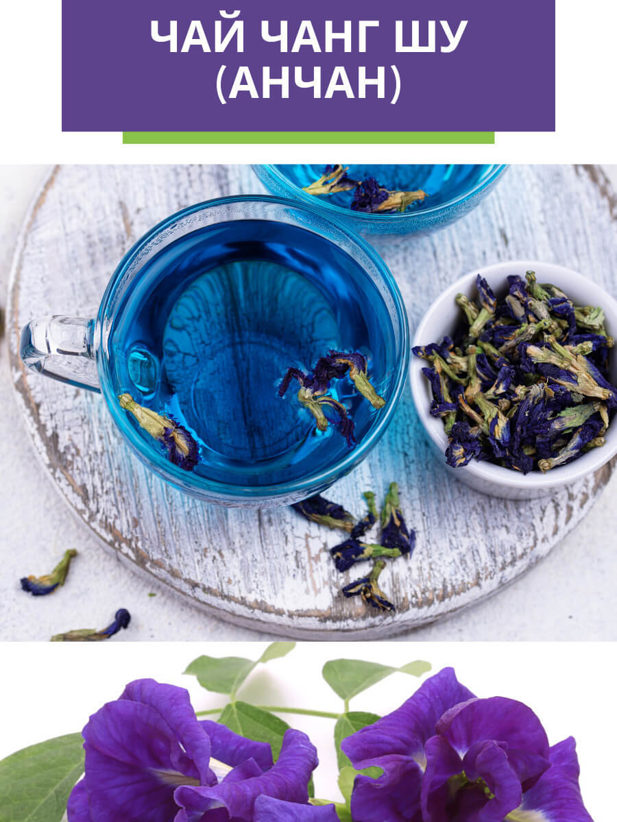 VeganNova Тайский синий чай Анчан (Чанг Шу) из цветков Клитории Тройчатой, цветочный, без кофеина, листовой, 50 г